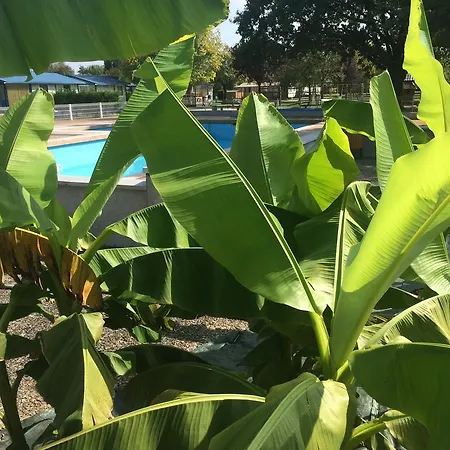 Camping Camping Les Naïades 3*